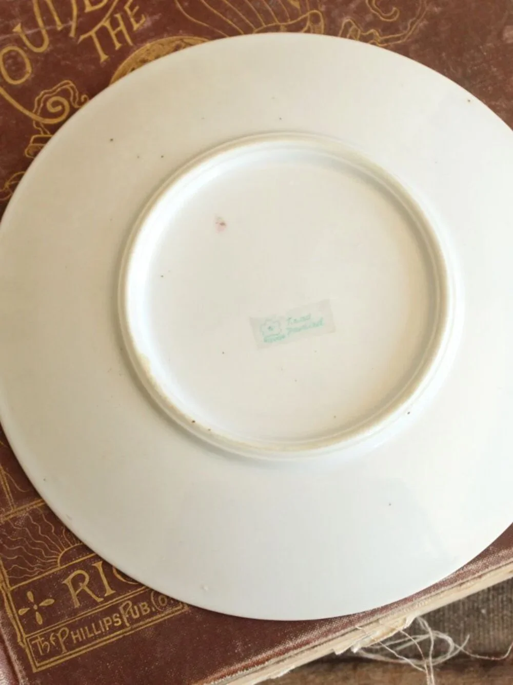 Vintage Antique 1900s Plate, 6